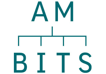 am bits